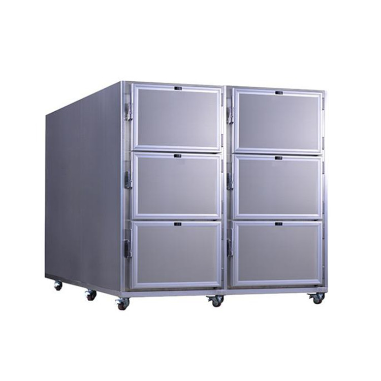 Body Refrigerators