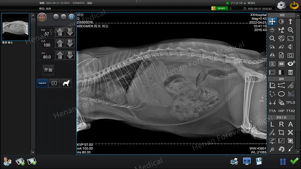 32KW Veterinary DR X Ray Machine best 32KW Veterinary DR X Ray Machine best