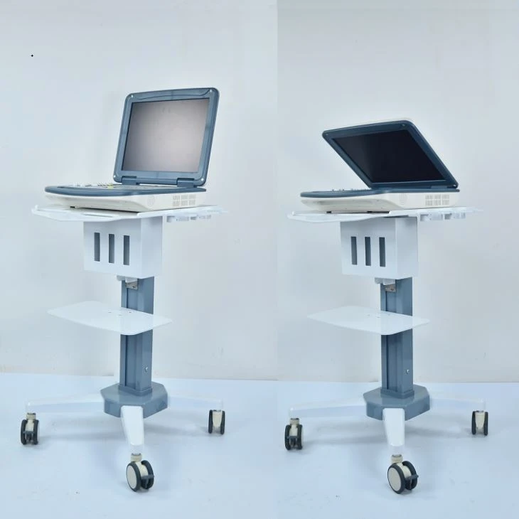 Computer Pregnancy Ultrasound Scanner Computer Pregnancy Ultrasound Scanner